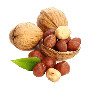 Fresh Nuts