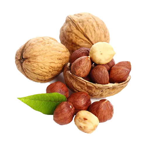 Fresh Nuts