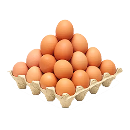 Chicken Eggs